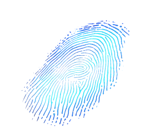 Electronic Security