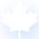 Real-Time Visibility