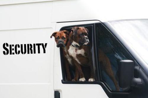 security guard service
