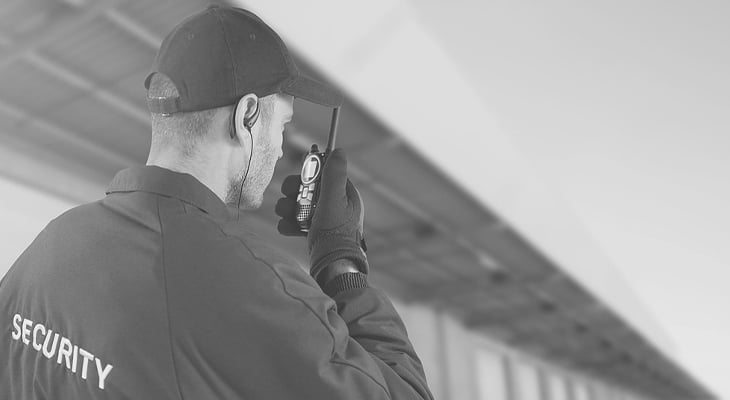 Factors Responsible For Increased Crime Rates & The Need For Security Services