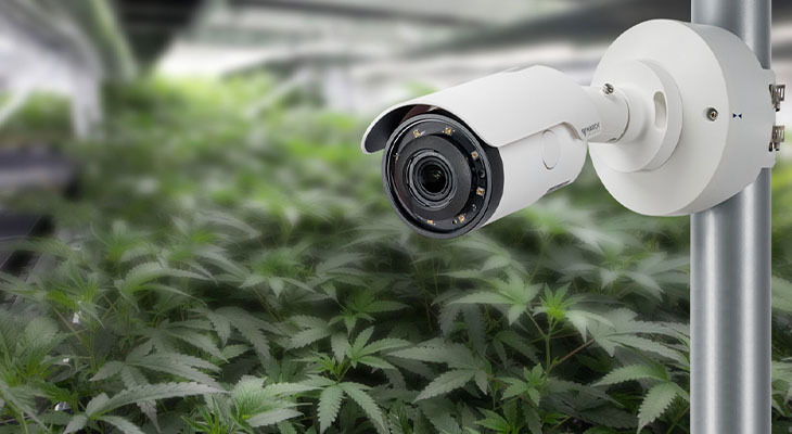 Major Components Of Cannabis Security Solutions